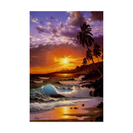 Anthony Casay 'Sunset Coast 5' Canvas Art,16x24